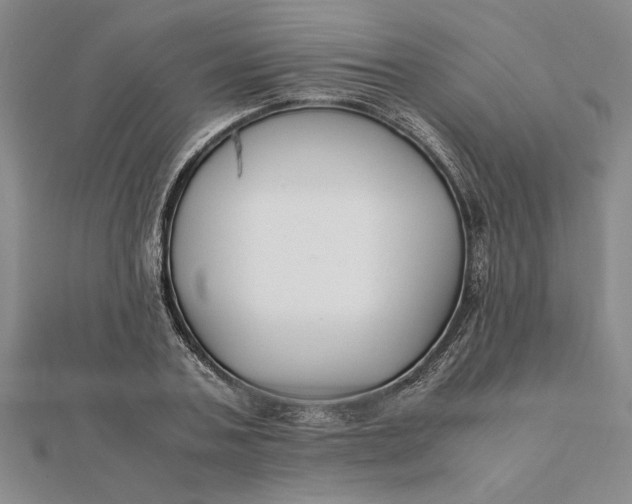 X0000112110787200908251210