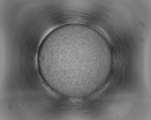 X0000112110788200908251210