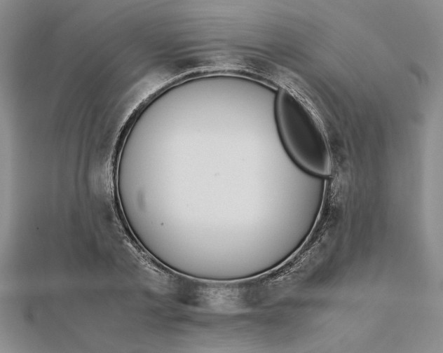 X0000112110789200908251210