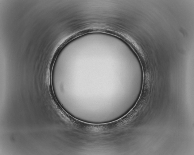 X0000112110791200908251210