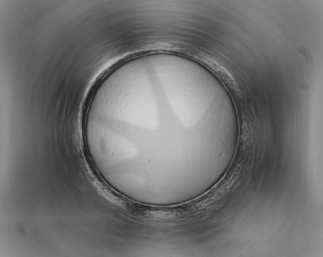 X0000112110792200908251210