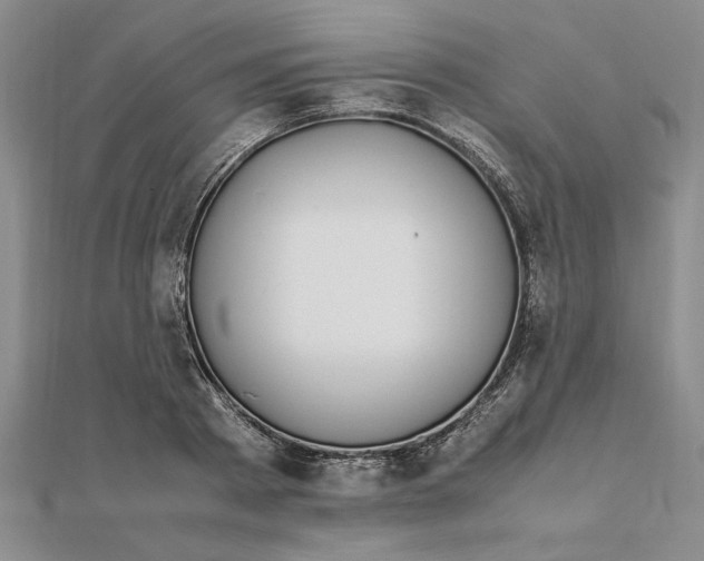 X0000112110793200908251210