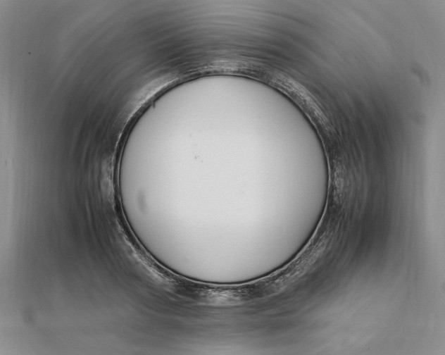 X0000112110794200908251210