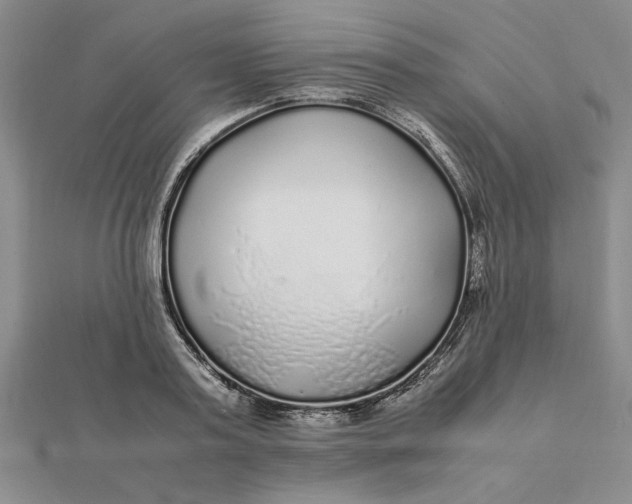 X0000112110795200908251210