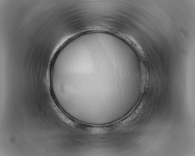 X0000112110796200908251210