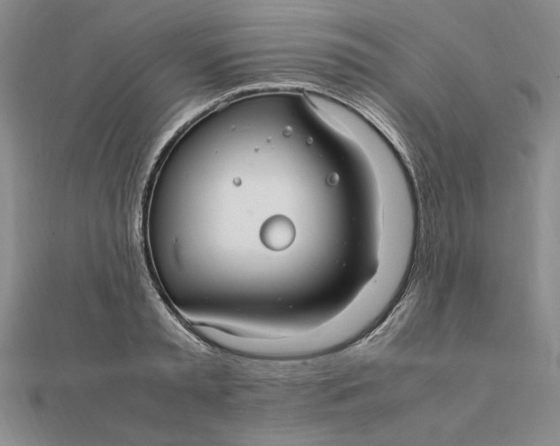 X0000112110797200908251210