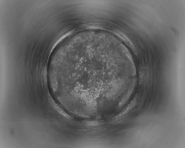 X0000112110798200908251210