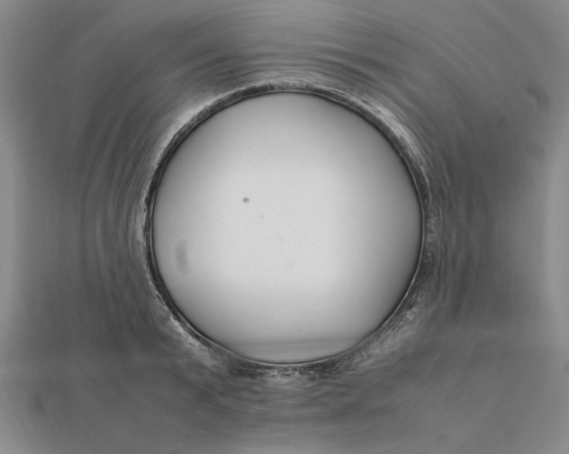 X0000112110799200908251210