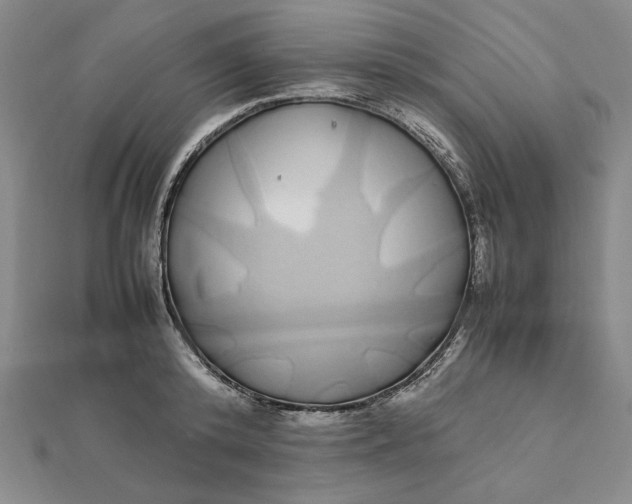 X0000112110800200908251210