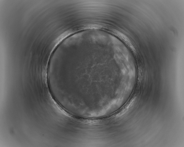 X0000112110802200908251210