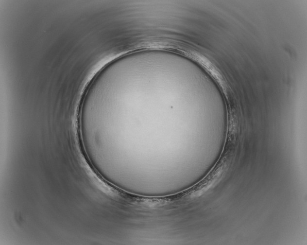 X0000112110803200908251210