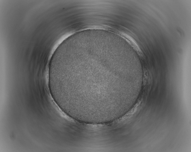 X0000112110804200908251210