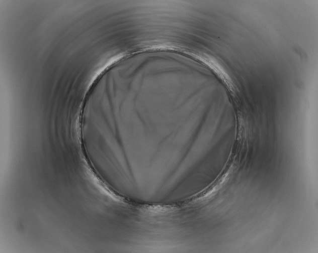 X0000112110806200908251210