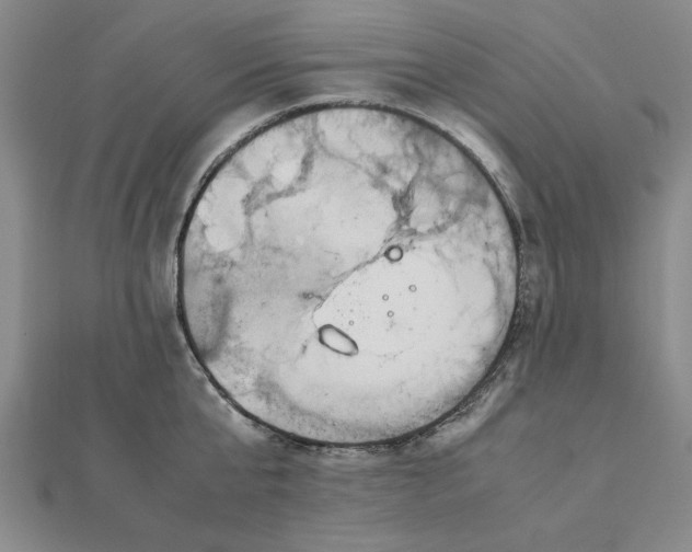 X0000112110807200908251210