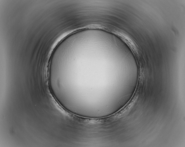 X0000112110808200908251210