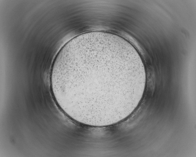 X0000112110810200908251210