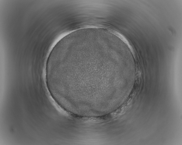 X0000112110811200908251210