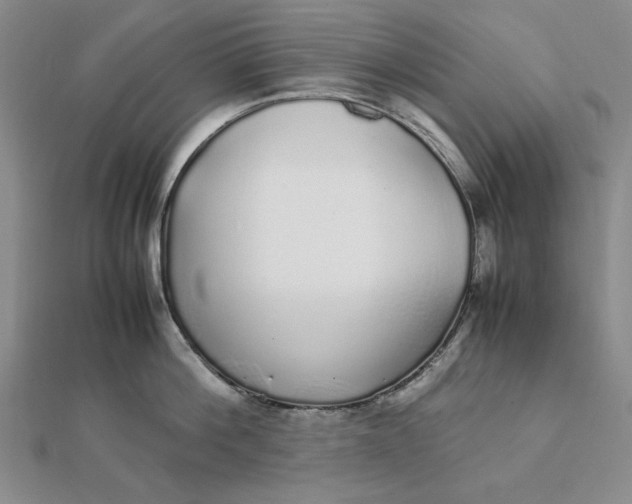 X0000112110812200908251210