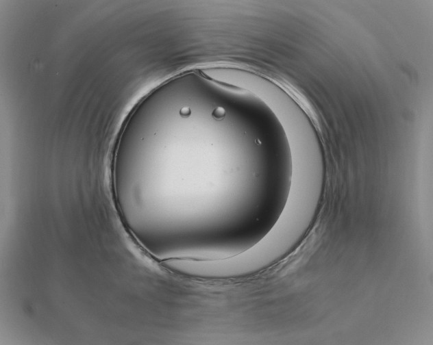 X0000112110813200908251210