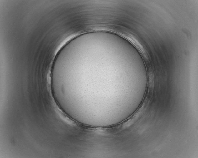 X0000112110814200908251210