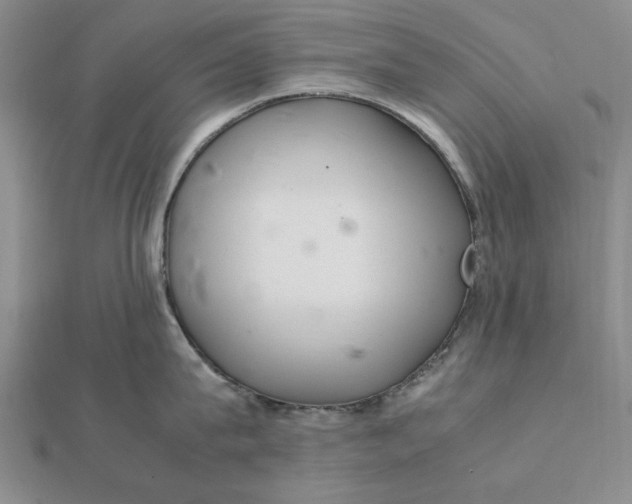 X0000112110815200908251210