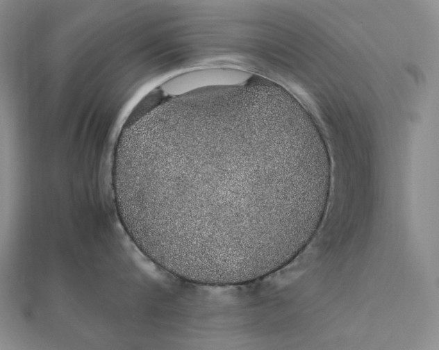 X0000112110816200908251210