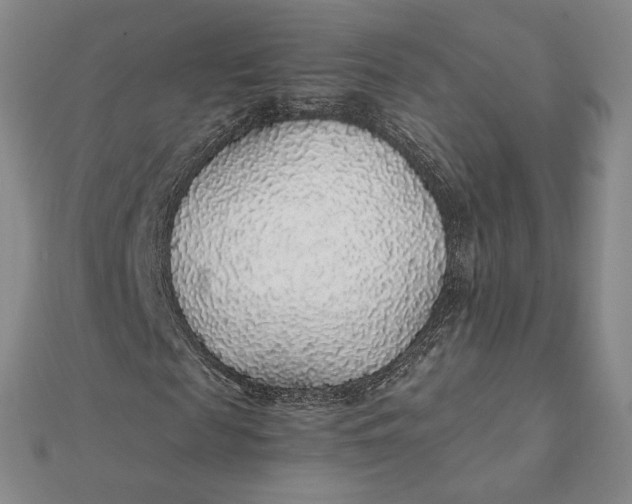 X0000112110817200908251209