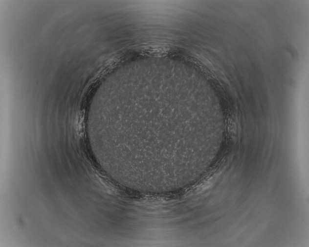 X0000112110818200908251209