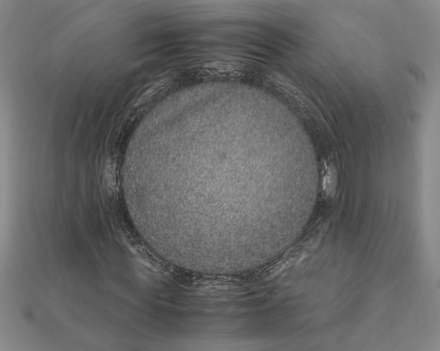 X0000112110819200908251209