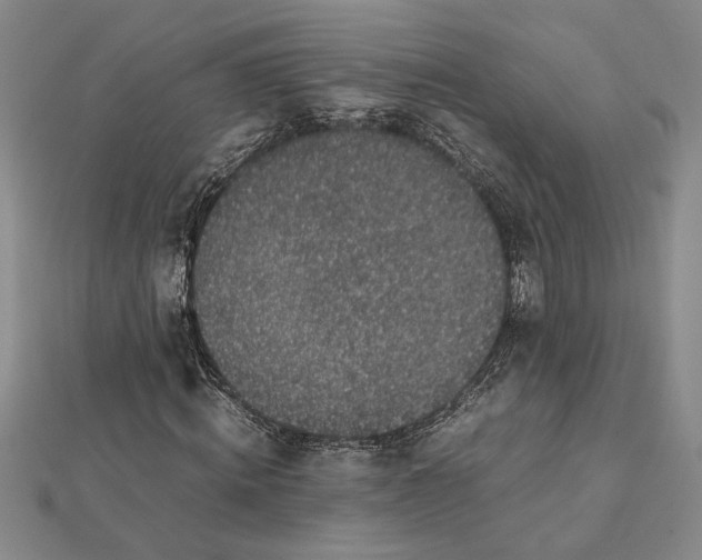 X0000112110820200908251209