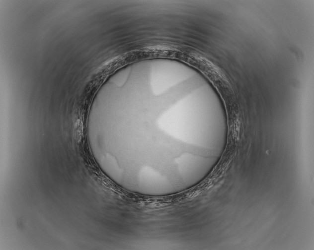 X0000112110821200908251209