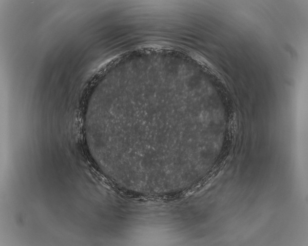 X0000112110822200908251209