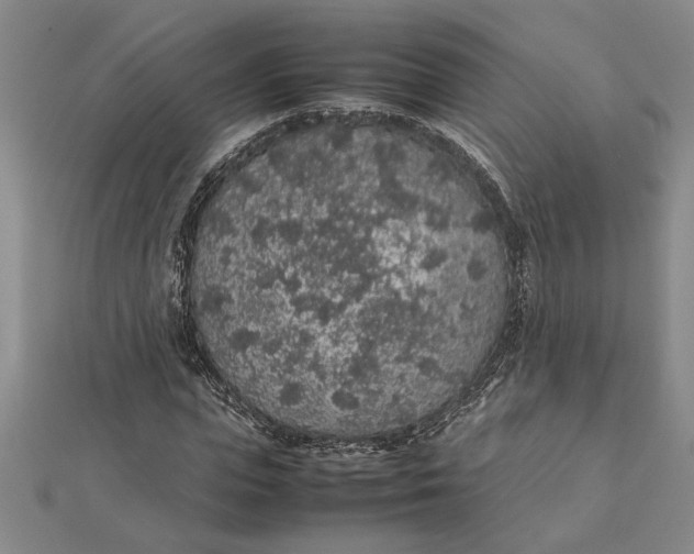 X0000112110823200908251209