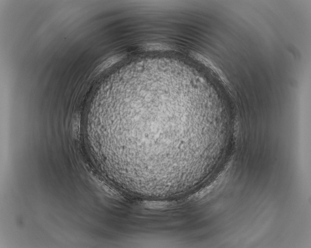 X0000112110825200908251209