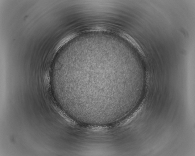 X0000112110826200908251209