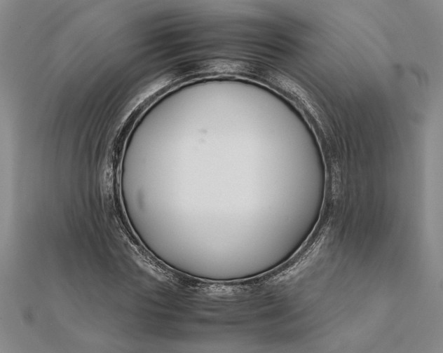 X0000112110827200908251209