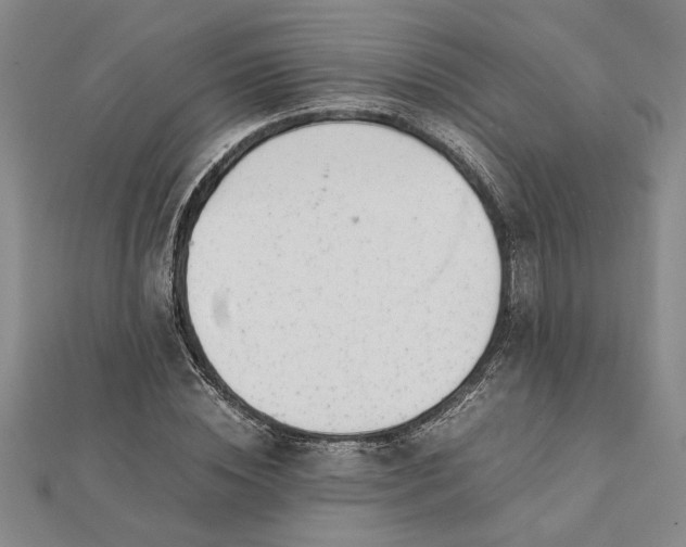 X0000112110828200908251209