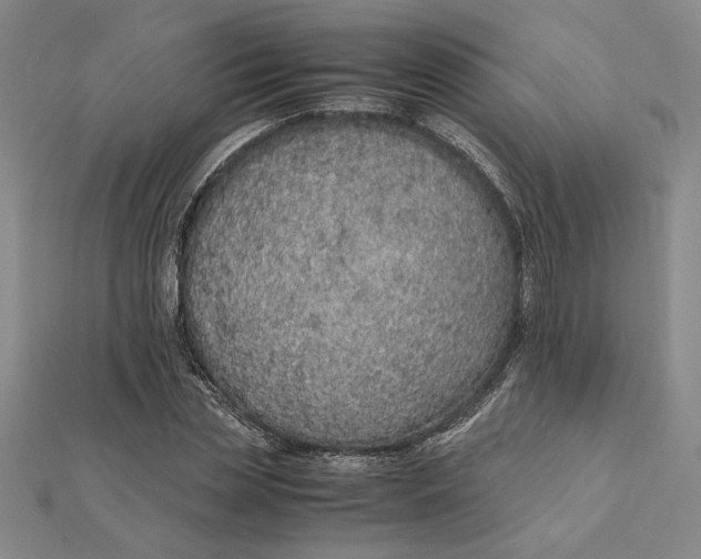 X0000112110829200908251209