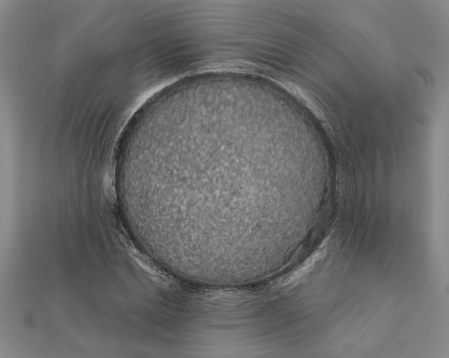 X0000112110830200908251209