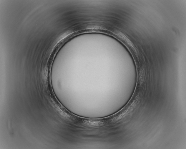 X0000112110831200908251209