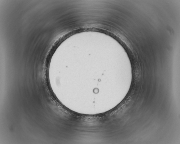 X0000112110832200908251209