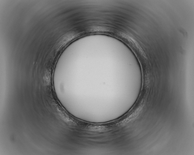 X0000112110833200908251209