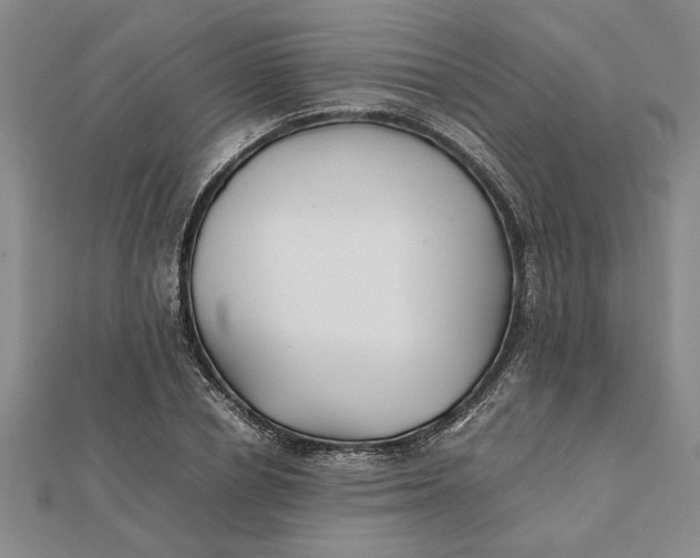 X0000112110834200908251209