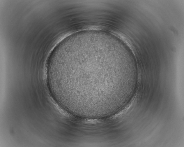 X0000112110835200908251209