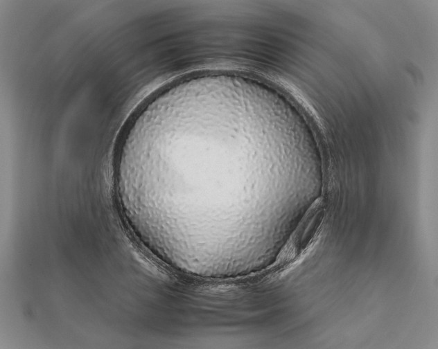 X0000112110837200908251209