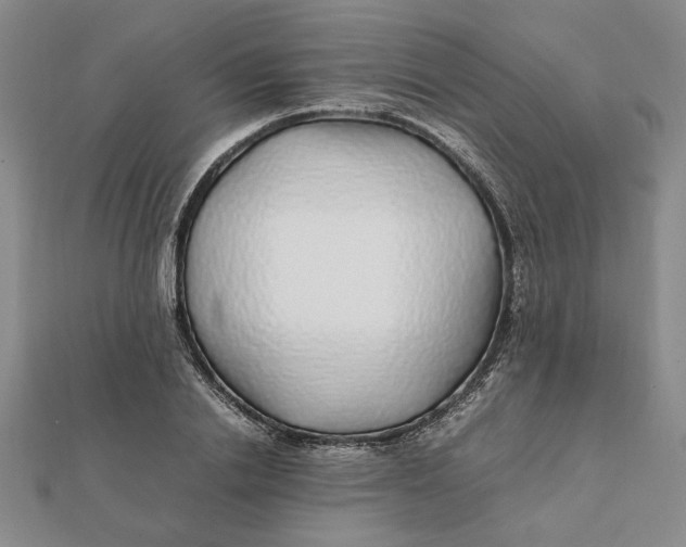 X0000112110838200908251209