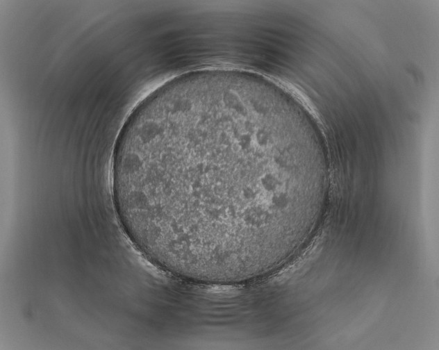 X0000112110839200908251209