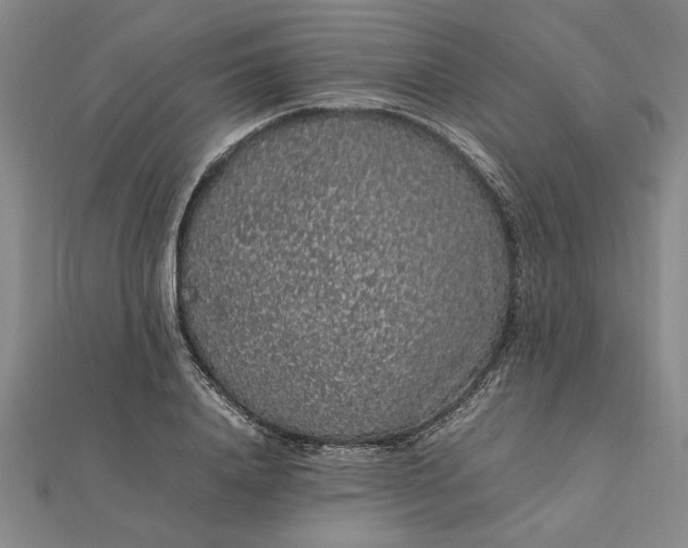 X0000112110840200908251209