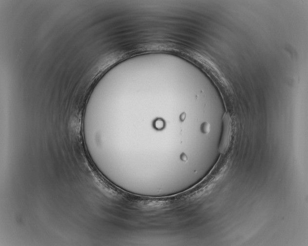 X0000112110841200908251209