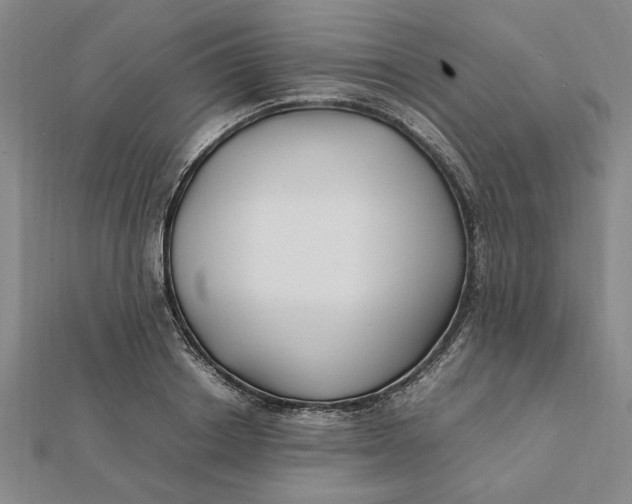 X0000112110842200908251209